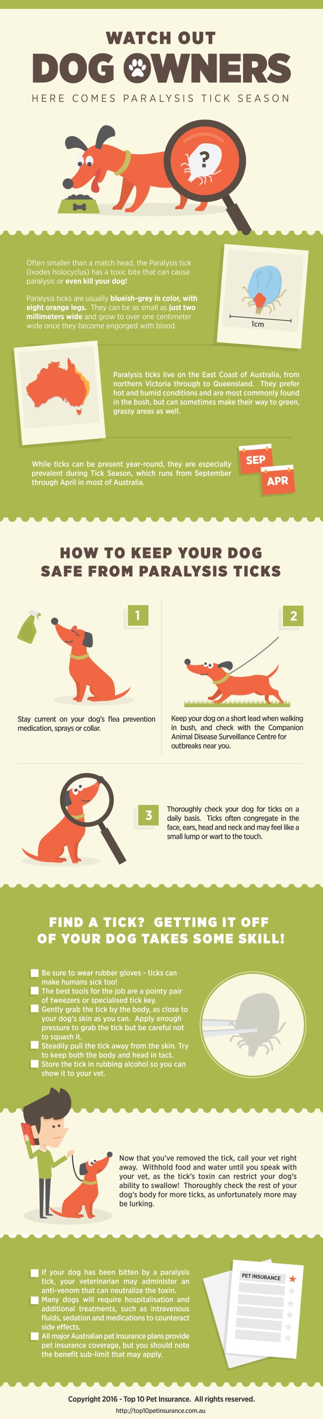Paralysis Tick Infographic