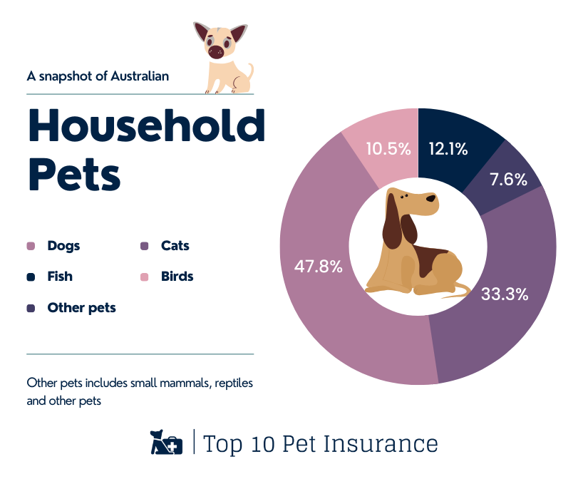 percentage chart of what pets we have at home.